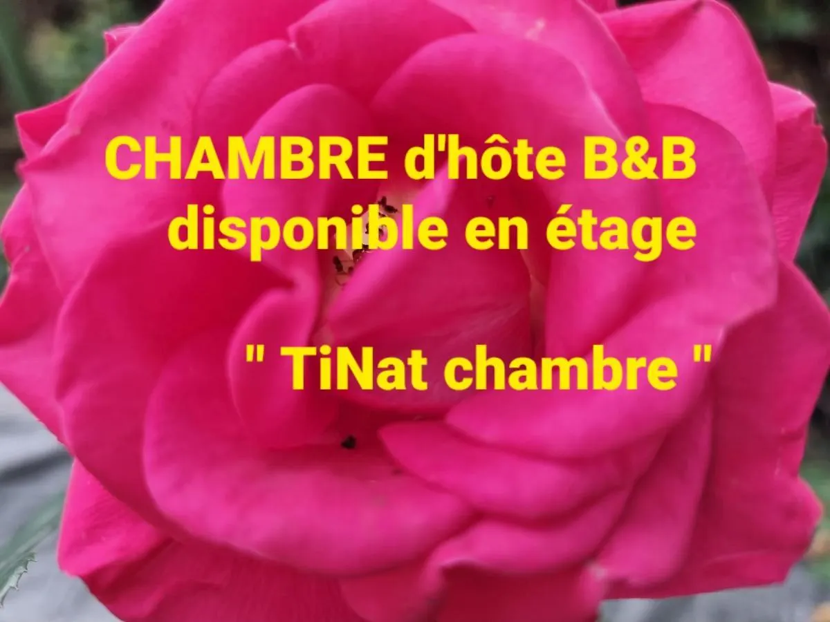 Apartment Tinat Studio Douarnenez