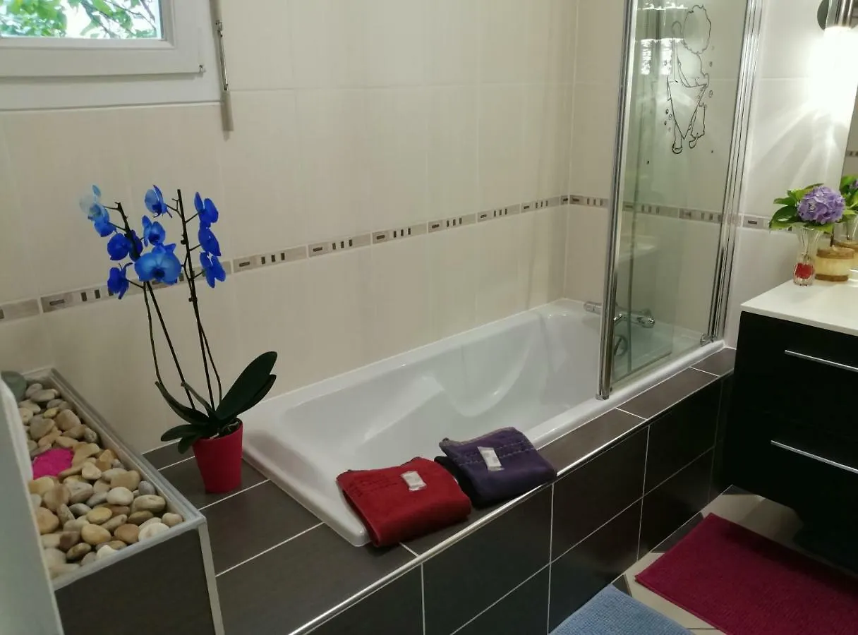 Tinat Studio Douarnenez